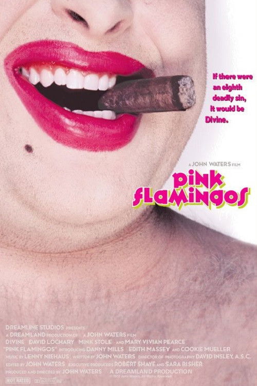 Pink Flamingos poster