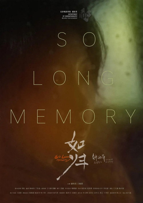 So Long Memory still 3