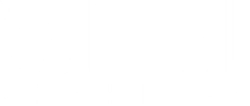 American Vandal