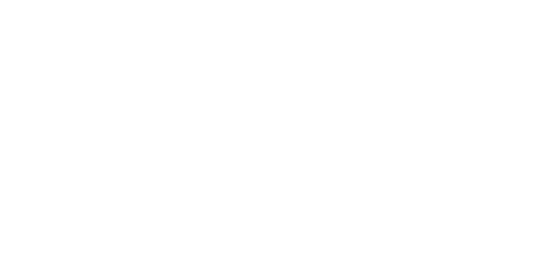 Bela Vingança - Logo 2
