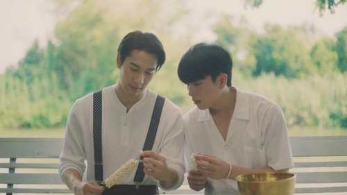 Épisode 5