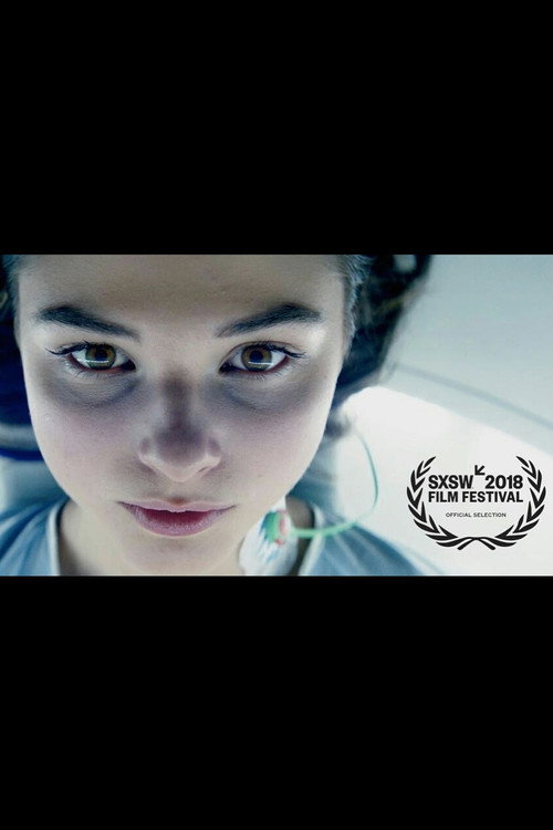 First Light Online Pelicula Completa español Latino