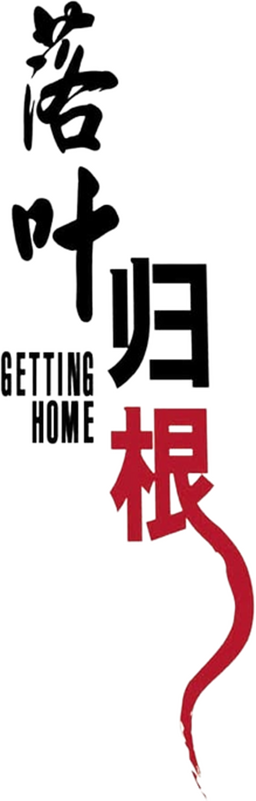 落叶归根