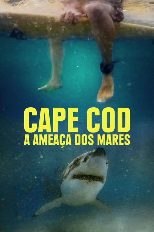 Image Cape Cod: A Ameaça dos Mares