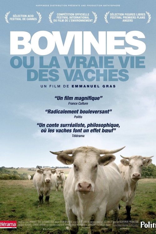 Bovines 2012