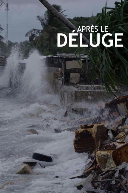 Après le déluge