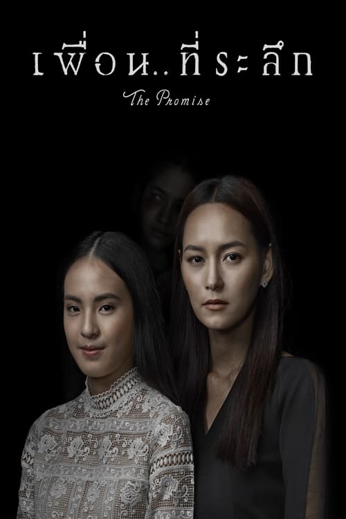 เพื่อน..ที่ระลึก (2017) poster