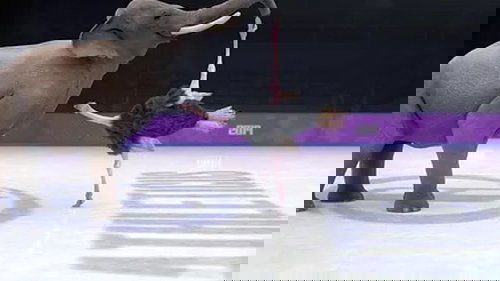 Image de l'épisode 19
