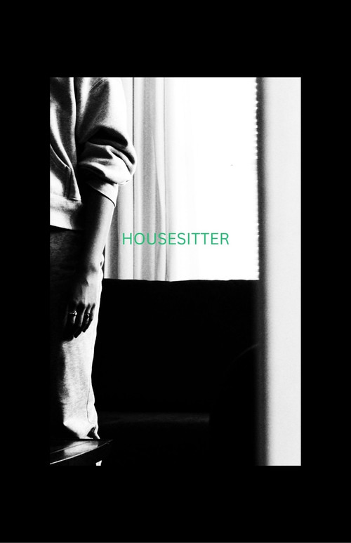 HOUSESITTER
