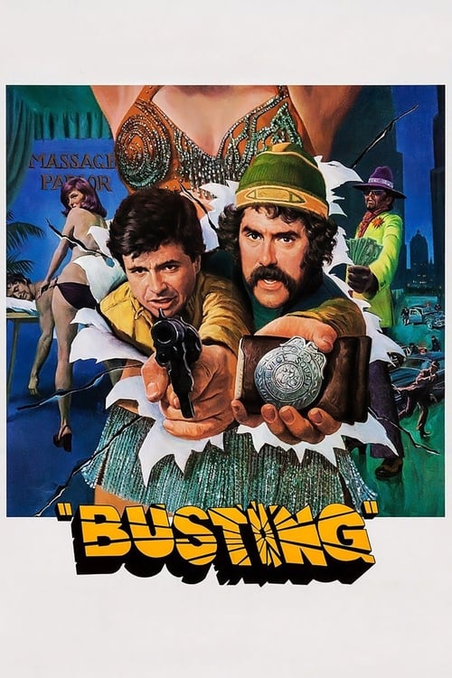 Busting (1974) poster