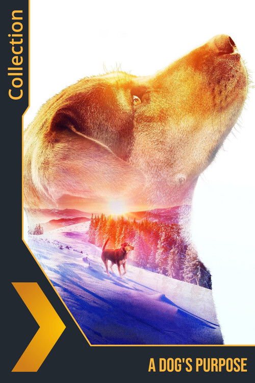 Pòster de A Dog's Purpose Collection