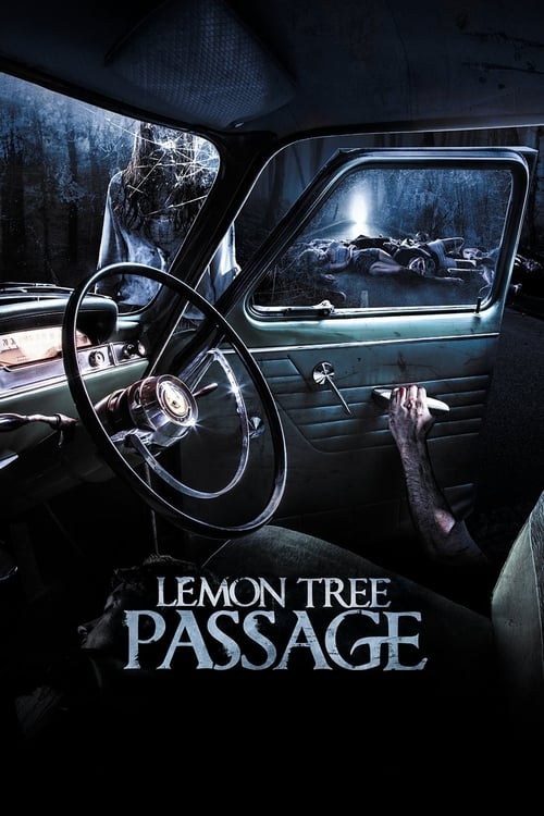 Where to stream Lemon Tree Passage