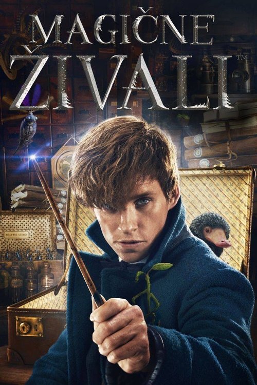 Posters