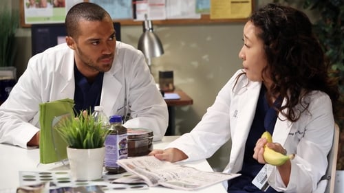 Grey's Anatomy - Season 9 - Episode 11: The End is the Beginning is the End