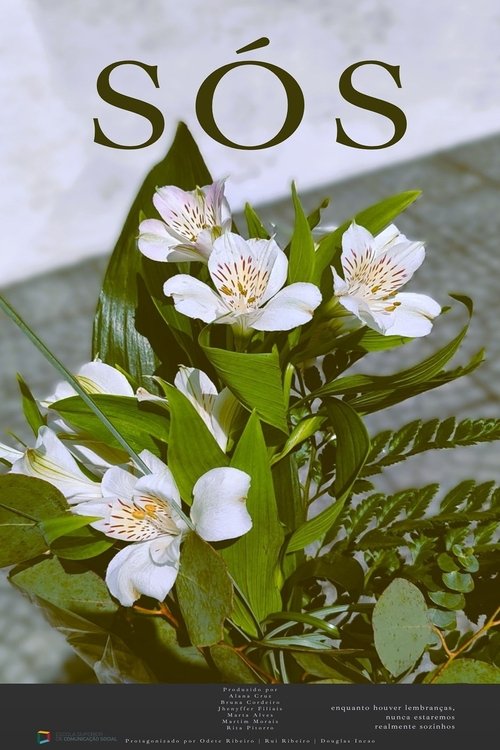 Poster for Sós (2025)