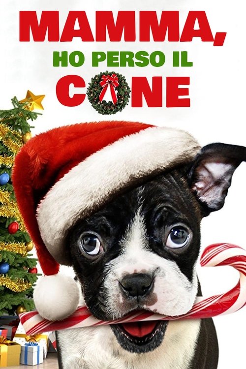 Mamma, ho perso il cane