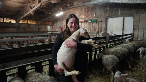 Young French people take over old farms