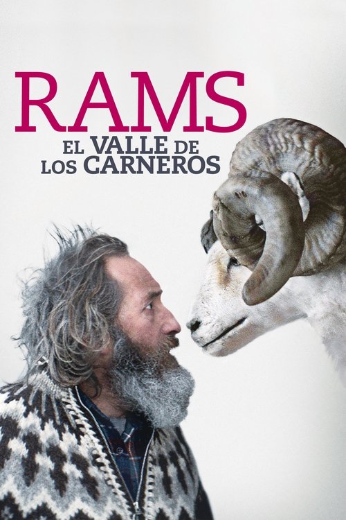 Rams poster