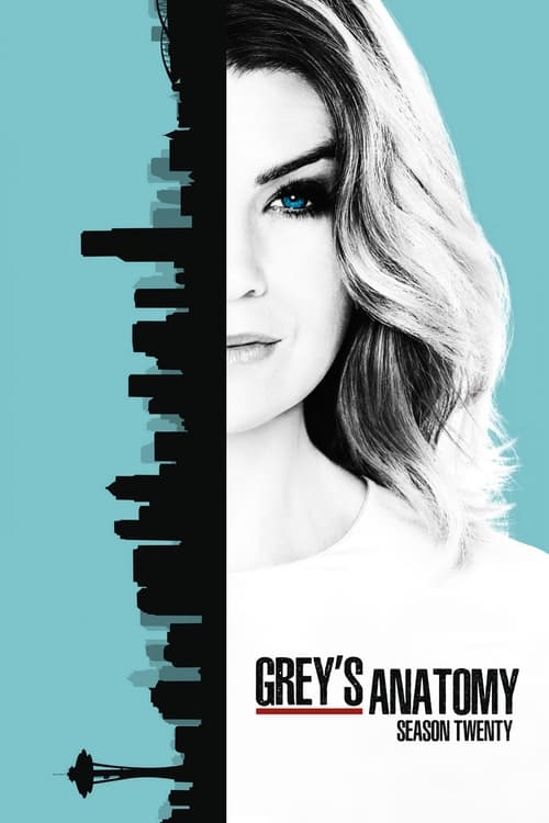 Where to stream Grey's Anatomy Season 20