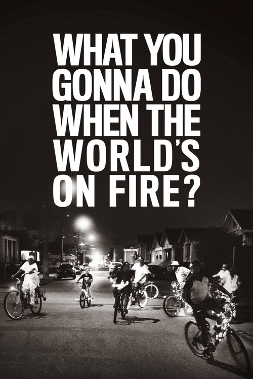 What You Gonna Do When the World's on Fire? poster