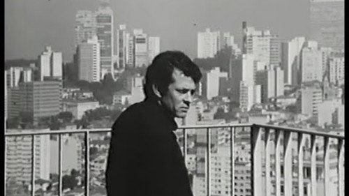 São Paulo: Symphony and Cacophony