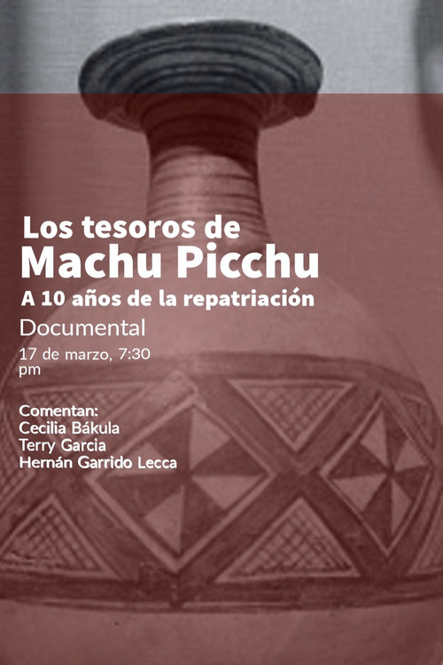 Los tesoros de Machu Picchu poster