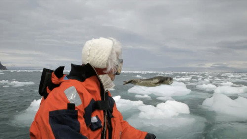 Els records glaçats