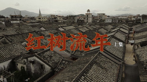 Tides of the Mangrove (1)