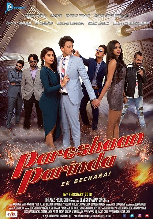 Pareshaan Parinda poster