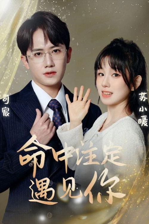 命中注定遇见你