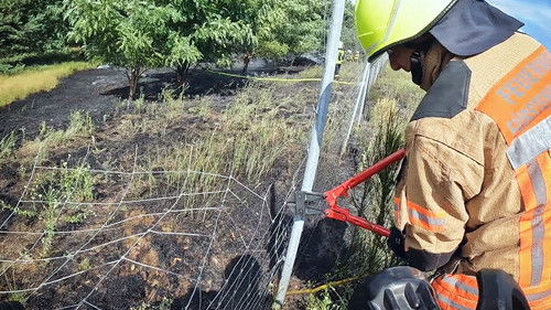 Image de l'épisode Épisode 1