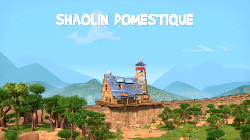 Image Shaolin domestique