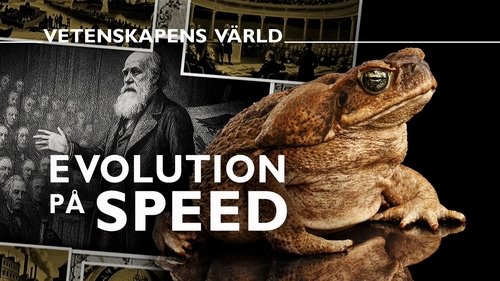 Image de l'épisode 24