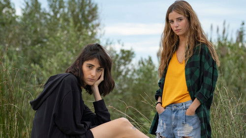 Il profilo dell’altra poster