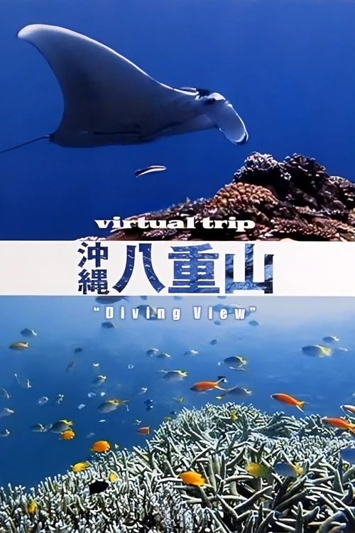 Virtual Trip Diving View (2007) poster