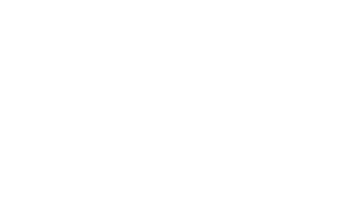 The Conservation Game