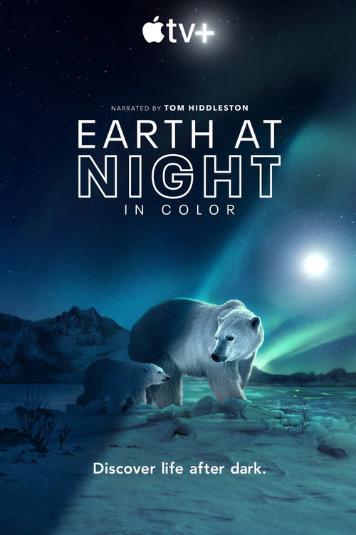 Earth at Night in Color poster