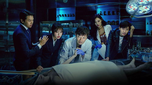 Partners for Justice backdrop 3