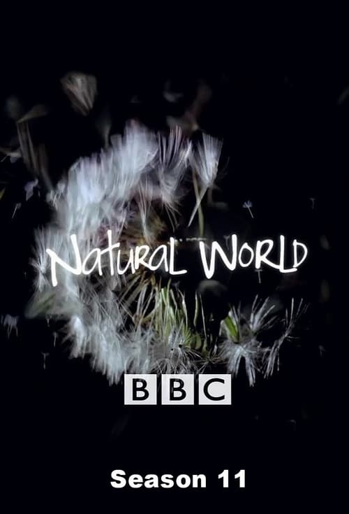 Natural World, S11E08 - (1993)