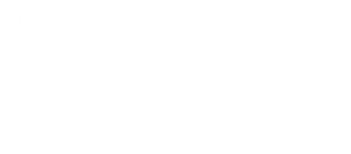 Fairy garden