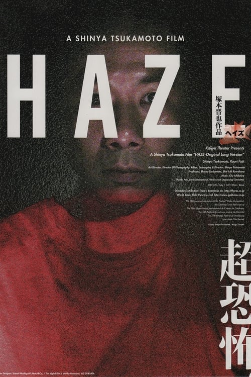 Largescale poster for Haze
