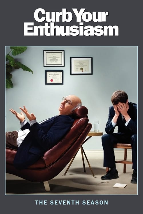 Where to stream Curb Your Enthusiasm Season 7