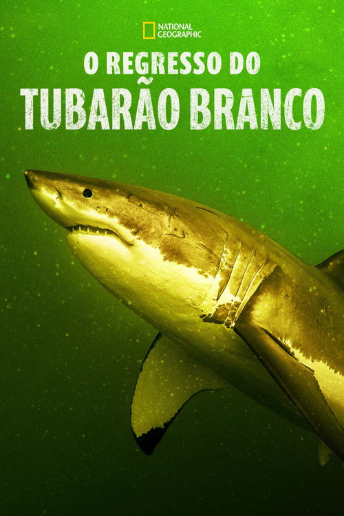 Return of the White Shark poster