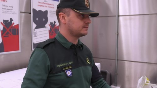 Épisode 14