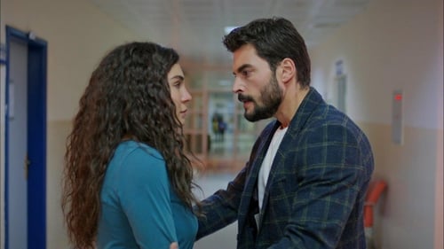 Poster della serie Hercai