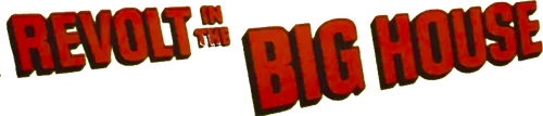 Revolt in the Big House