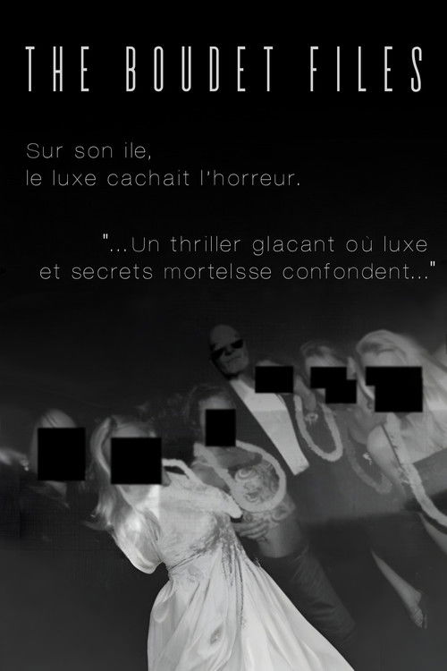 The Boudet Files film afişi