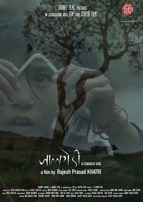 Jaalgedi movie poster player