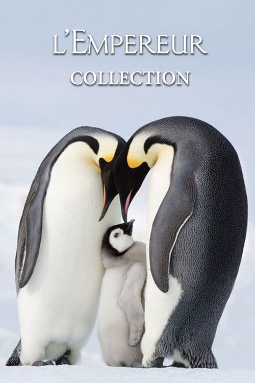 La Marche de l'Empereur - Saga