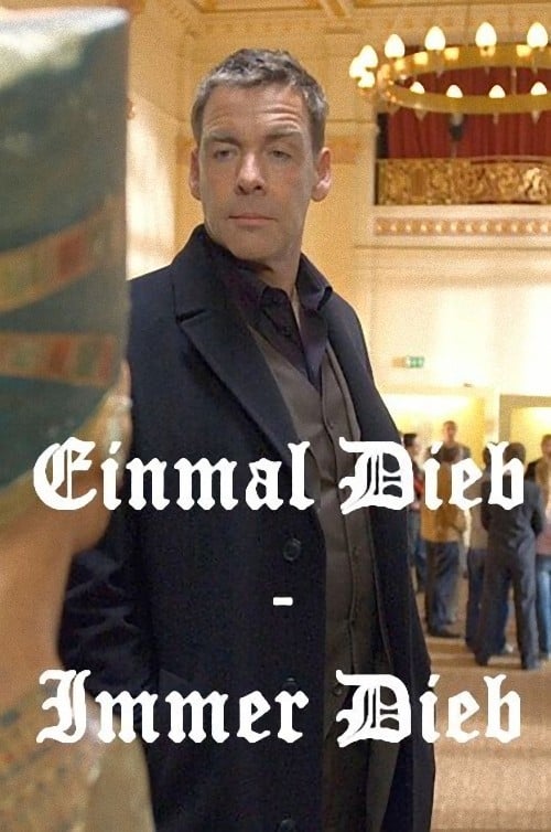 Einmal Dieb, immer Dieb (2007) poster